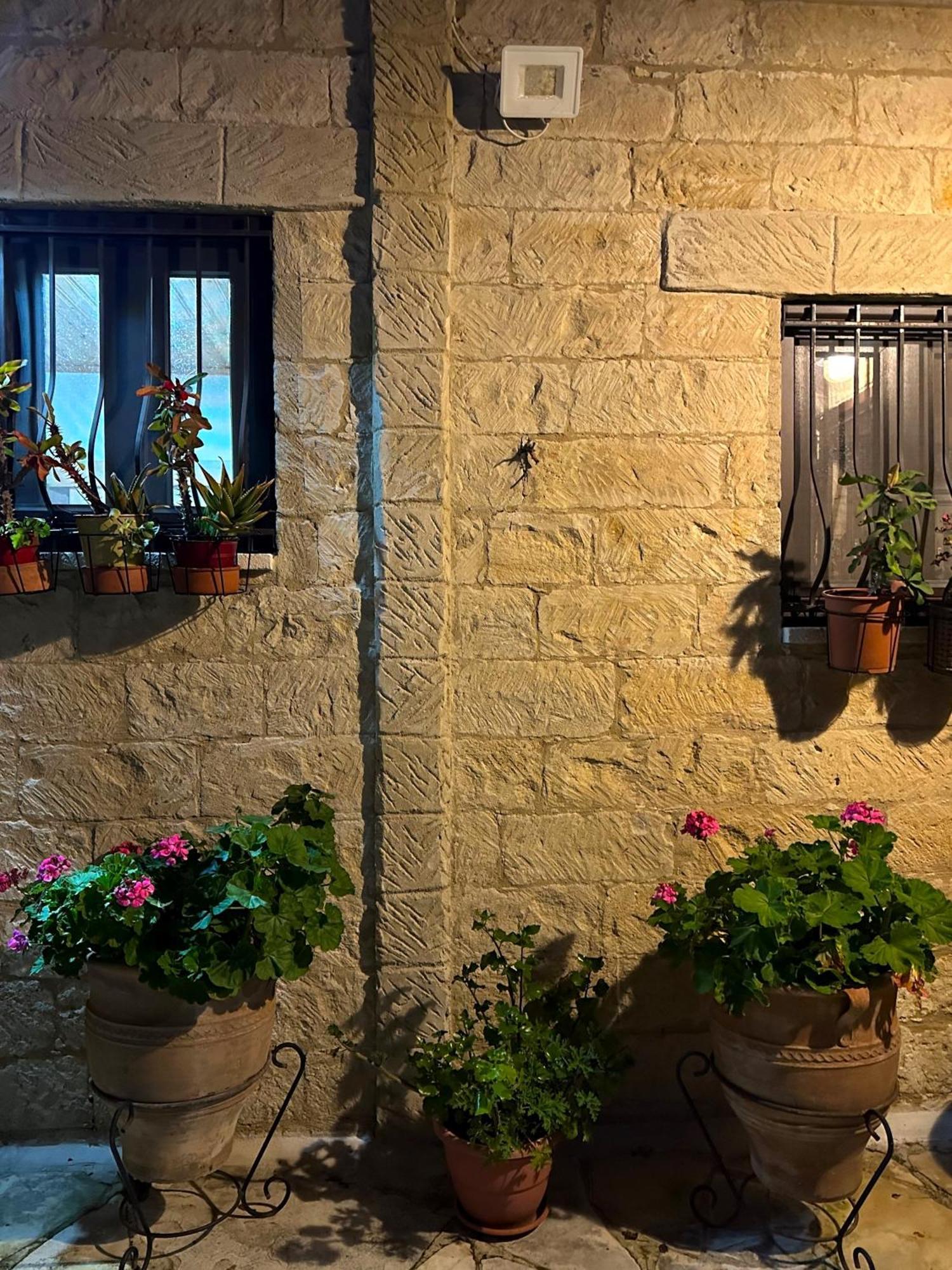 Cosy Piano Village In Holiday home